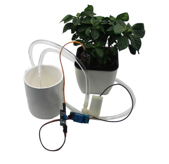 Self-watering system DIY